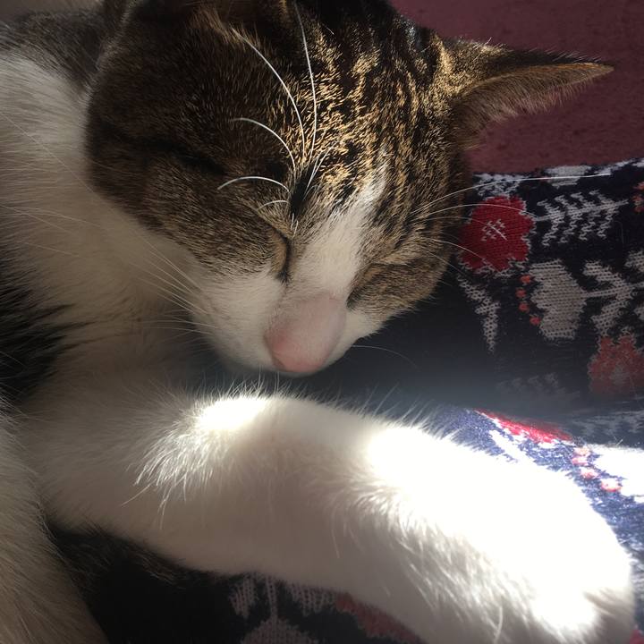 6a9304a4 48c8 4dcc ae48 ee6d4537ba75 1542775418114