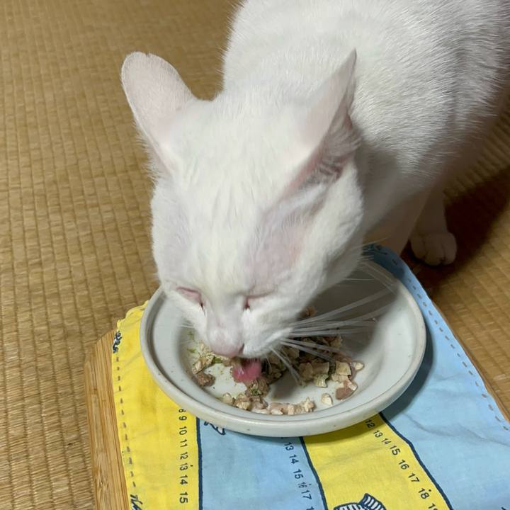 6a931b3c ec6a 4717 a580 6f530323d0c8 1769518066247