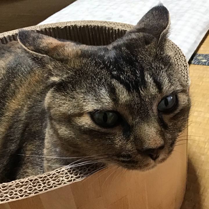 6a93a821 ea6a 4f89 a57c 7e9155c83d70 1724411030684