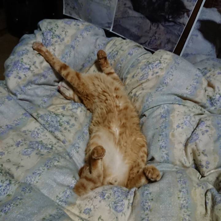 6a93ce19 b7cc 4a81 adee fe8f9587fb09 1660655950230