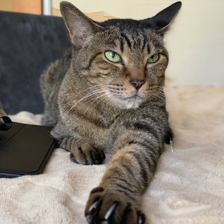 6a942554 cd3e 48a0 84c3 cddd74091f4e 1572309848301