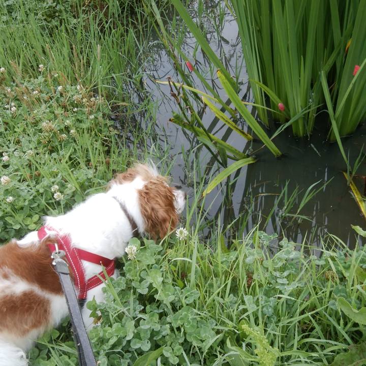 6a944158 8842 47c6 9036 8727d742aa2c 1529713521499