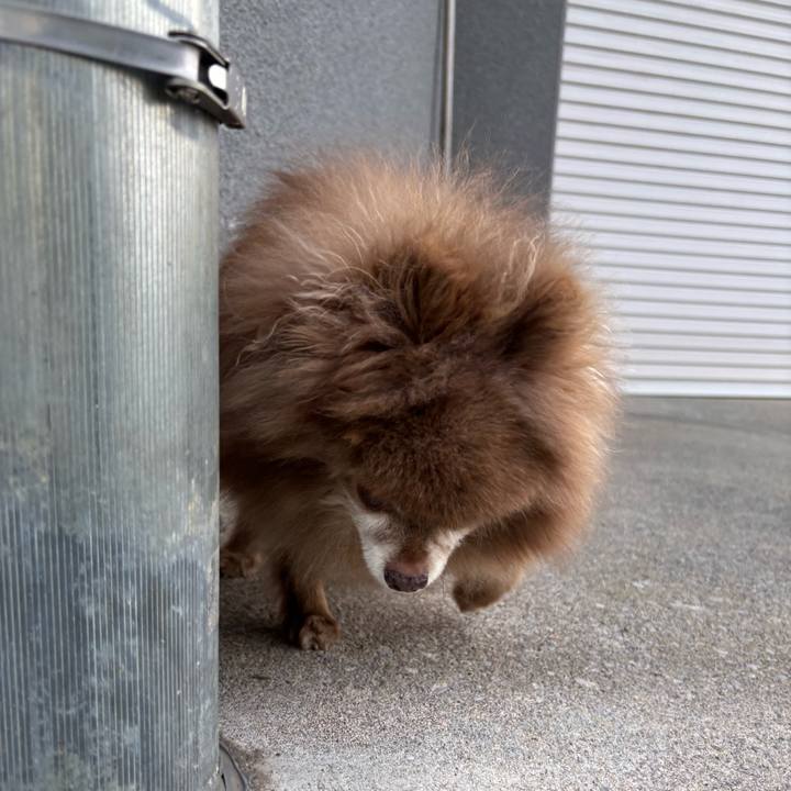 6a94632f 4f2e 4582 b4d3 5103c3ee641b 1748063017330