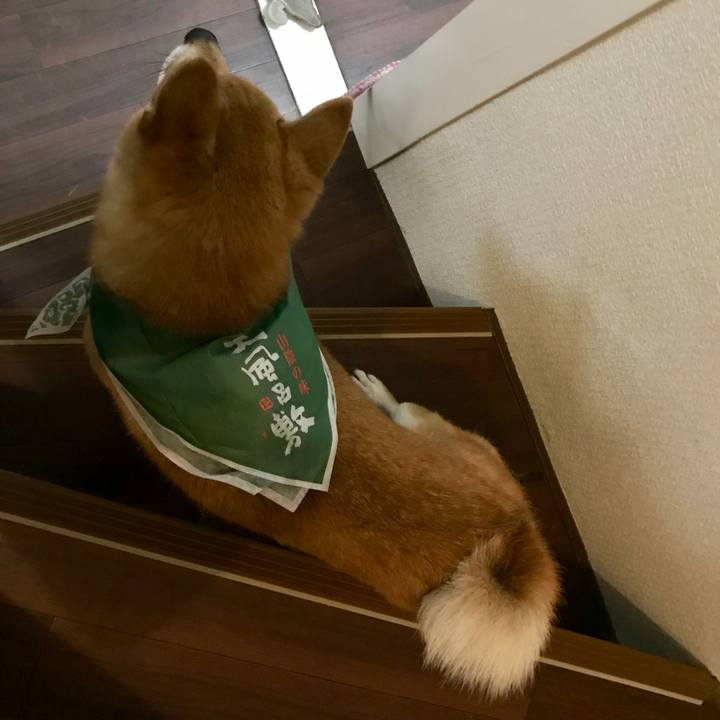 6a946718 654e 4ce1 b9f9 660bf66d9764 1534518254570