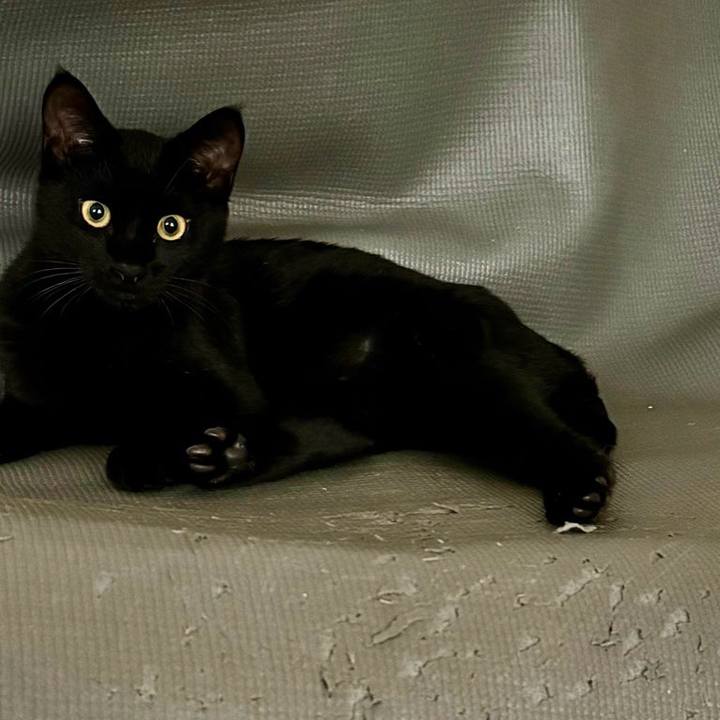 6a946972 8c03 4310 ba9d 0e9a30049ce5 1731675015854