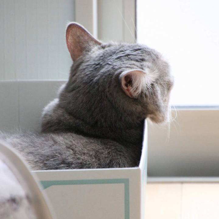 6a948e97 ce8c 4f31 9ee4 d7501bf8d3a2 1537949618250