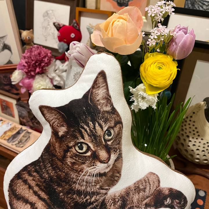 6a950460 e3f4 42e8 b050 18027bfd4bf2 1771846521197