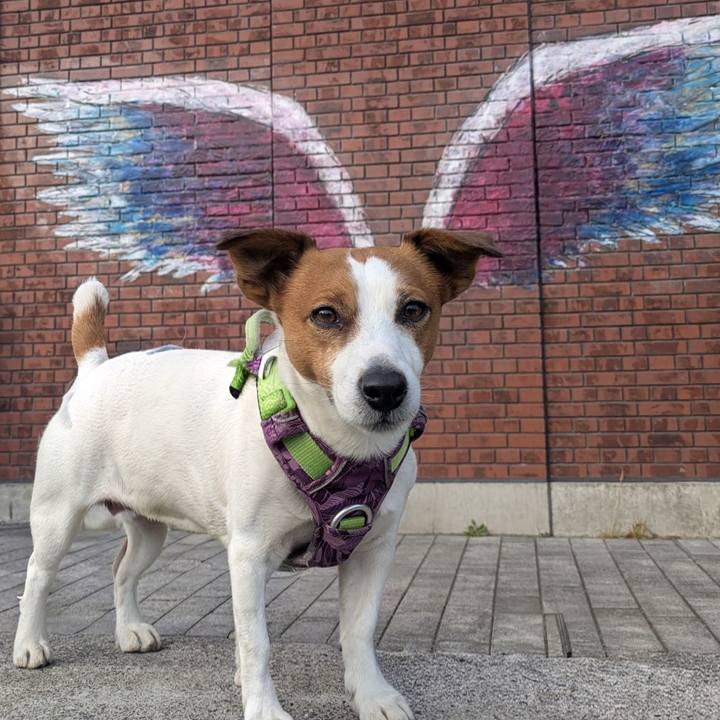 6a95d627 a515 4e72 83eb 105dc82bf181 1774788461559