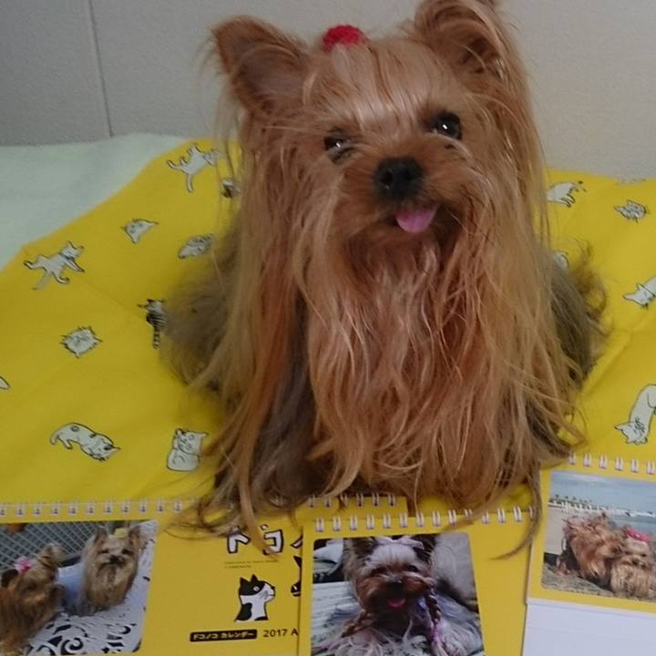 6a95e933 4219 42fd bec3 1737a2292be1 1591333873148