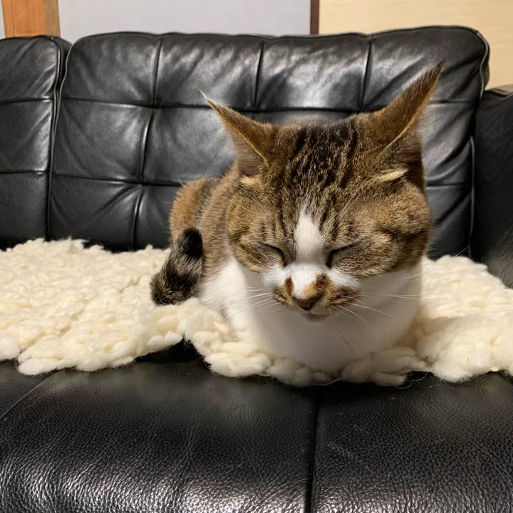 6a9600a9 c0a0 4601 85fd f9b40a129501 1671892001868