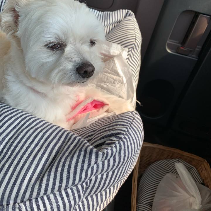 6a960fcc 9592 403e 87d6 86646f0f4d23 1615697024361