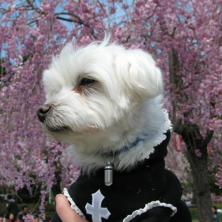 6a961fc3 8f2f 4f64 996b 11a2ead60bbb 1520819880427