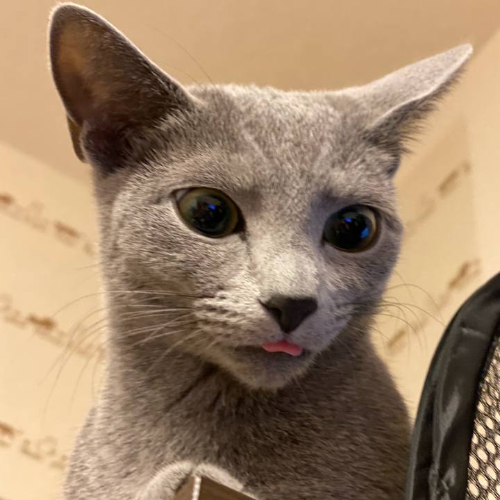 6a966701 16ff 4cd7 ac09 de246b31be1a 1607084610831