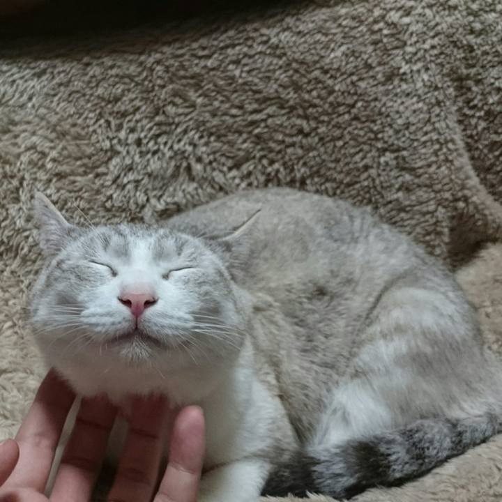 6a968527 61c3 4688 ba52 c22777bea2bc 1518186212221