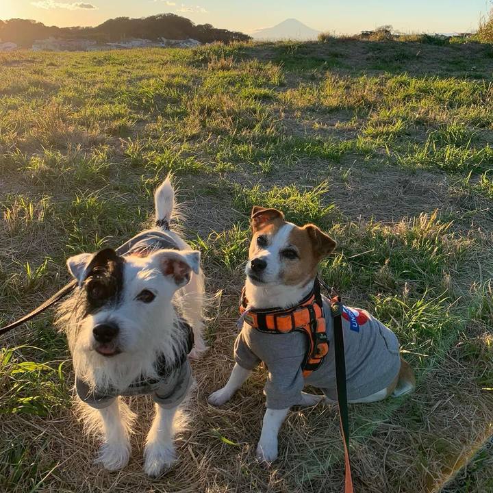 6a96f23a 52c4 4f9c 8485 810363c80de8 1731315073298