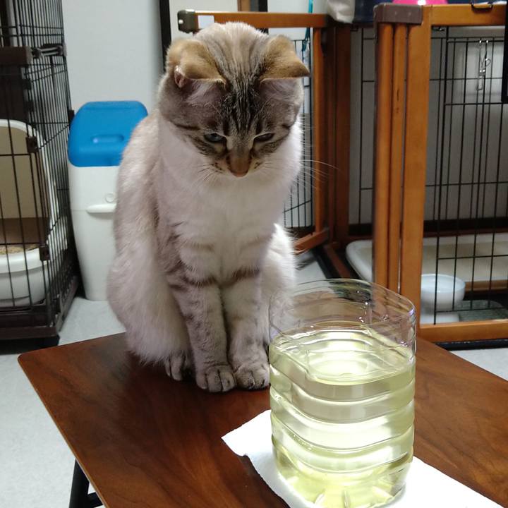 6a972ab3 75d7 4992 94d6 e2d0883c5a2a 1620816119455