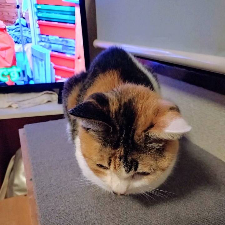 6a973525 2514 49bb bc17 6c110dcadd7c 1756735205604