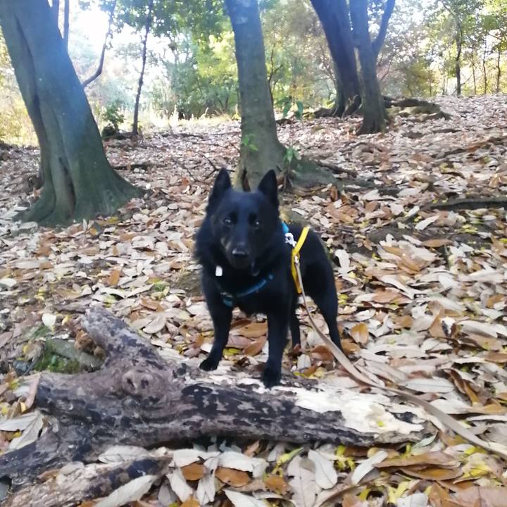 6a973bf0 d9cf 4bb7 a807 f4ce75b87200 1670022777419