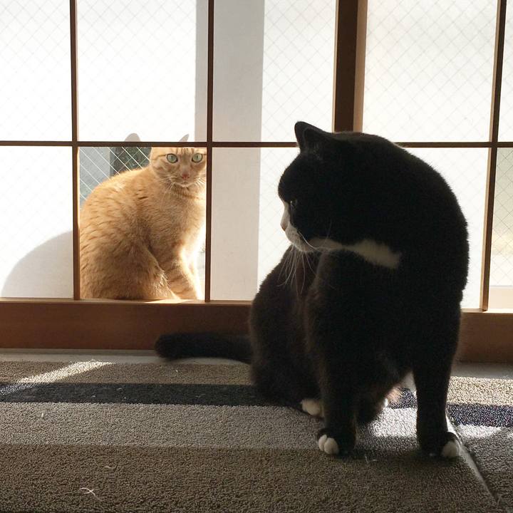 6a9742a3 8769 46b1 8a04 6bb89745862e 1582502116468