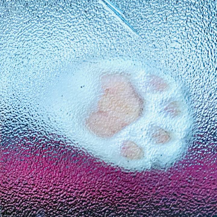 6a9757c3 b7cc 4c6f a51b f3ee970ce406 1690803224779