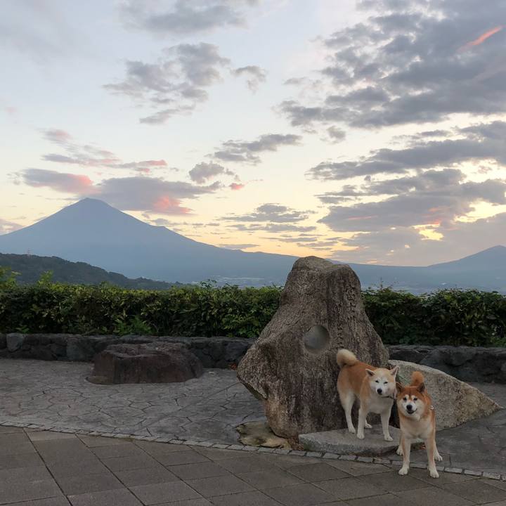 6a975b0b 68a3 4974 a7bb 6370566599e1 1537742358977