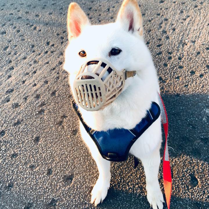 6a97786e 7b5b 4b1c 81e8 35453c4186db 1631220896064