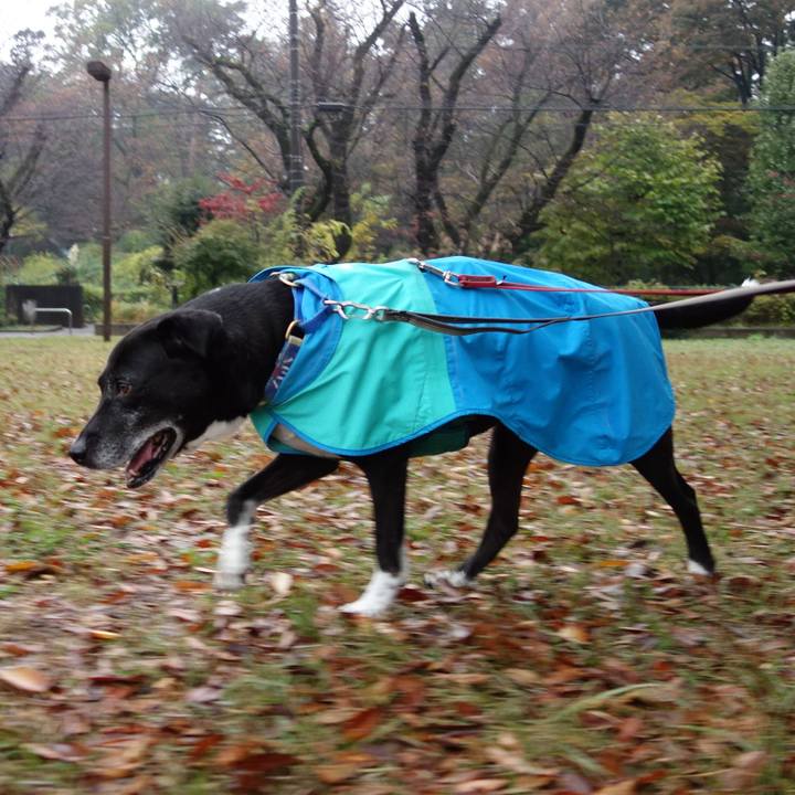 6a9789b7 b879 4a2b 8f36 80223cfee6dd 1731633839141