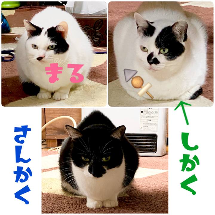 6a97a74c f6b1 4a6e b04d 14838a2aef57 1611098233477