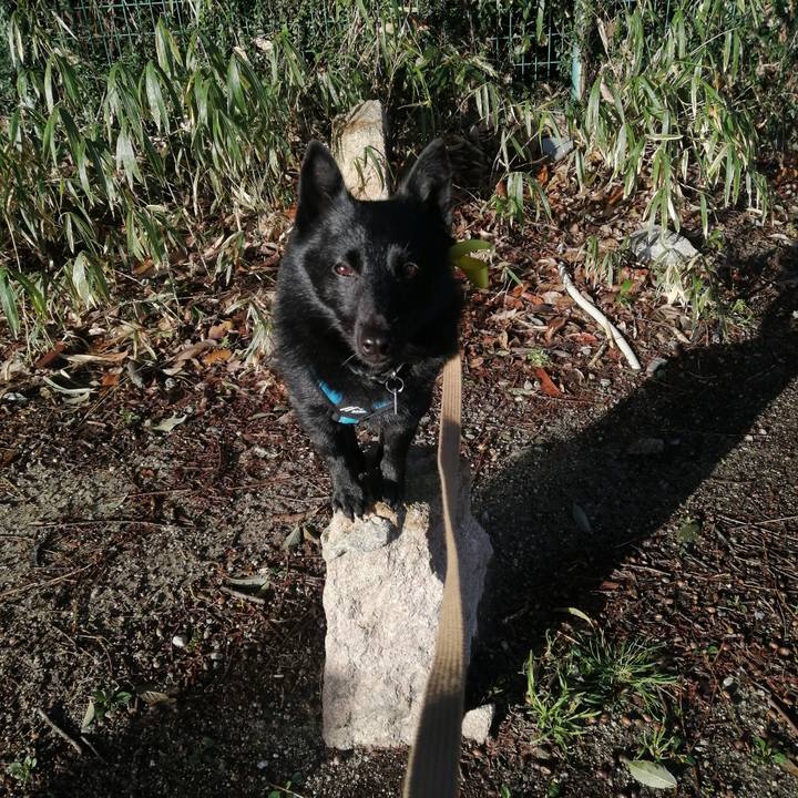 6a97c2d6 8843 4146 9c9e c562d6b7354e 1647728755212