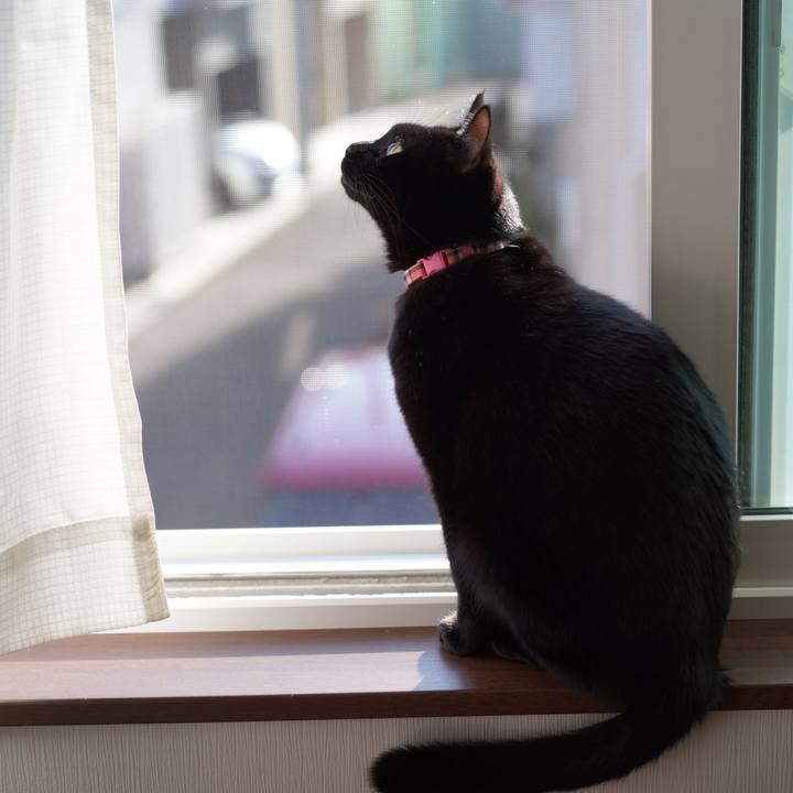 6a97f285 9556 4210 9048 44dd63a437c5 1576933989952