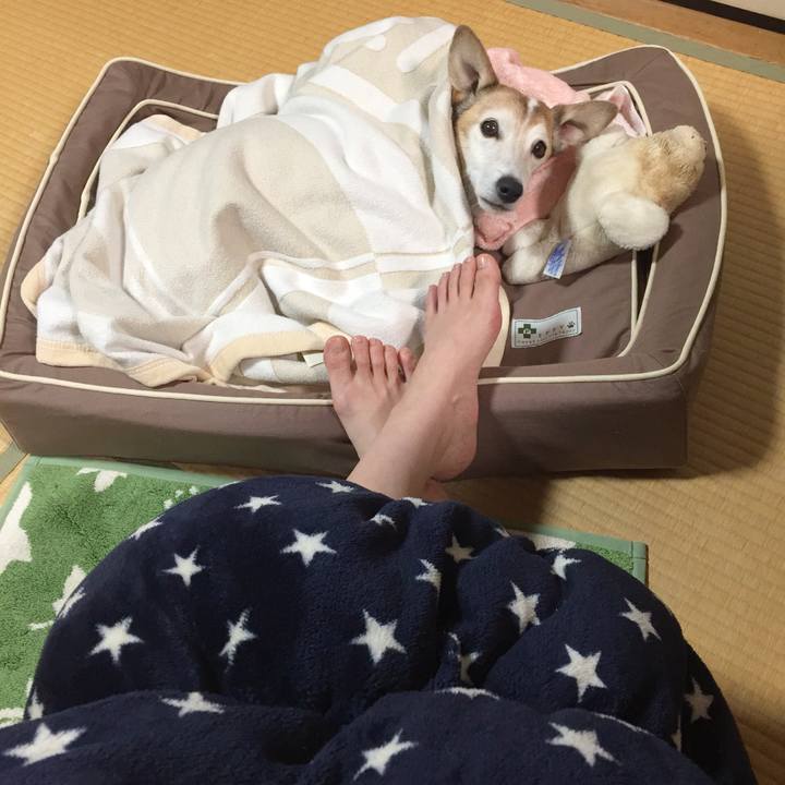 6a983b18 fad7 4c79 be3f fa176377b463 1513294520389