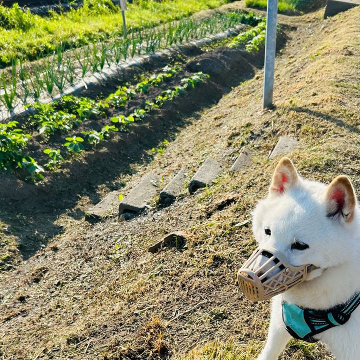 6a985767 1a96 488d a52d 0a27f292b166 1687814657246