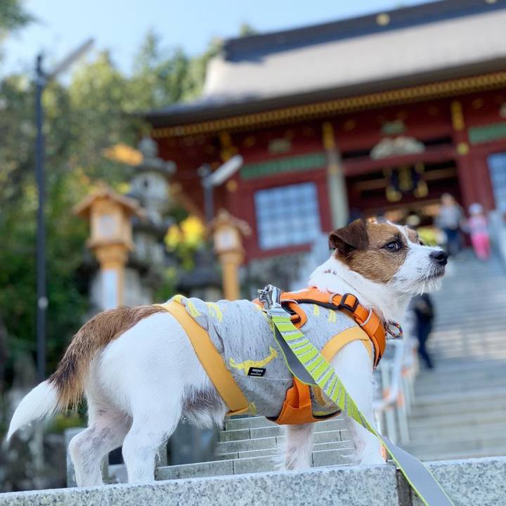 6a988597 0c98 4852 b921 2011b1f84375 1540133227781