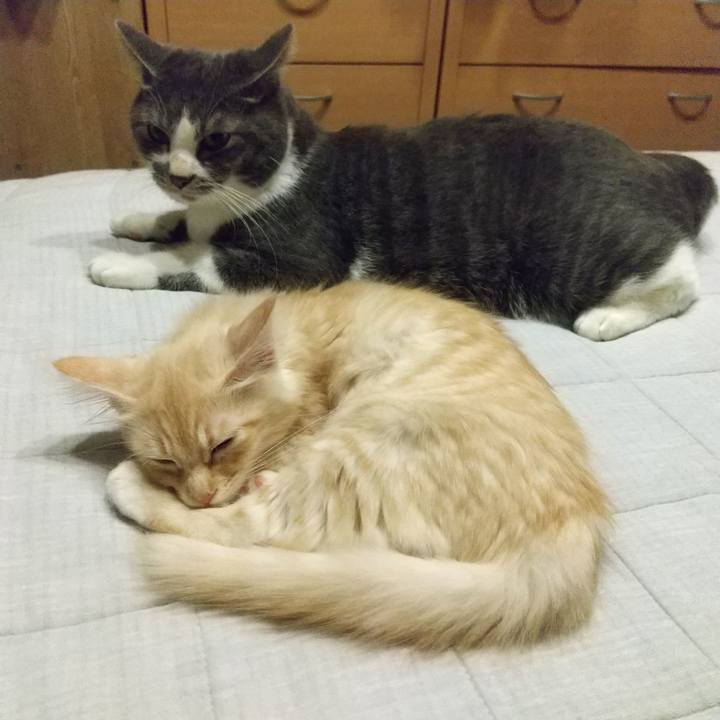 6a989603 5e97 45b3 8a2c 97a687cd9c22 1605883828090