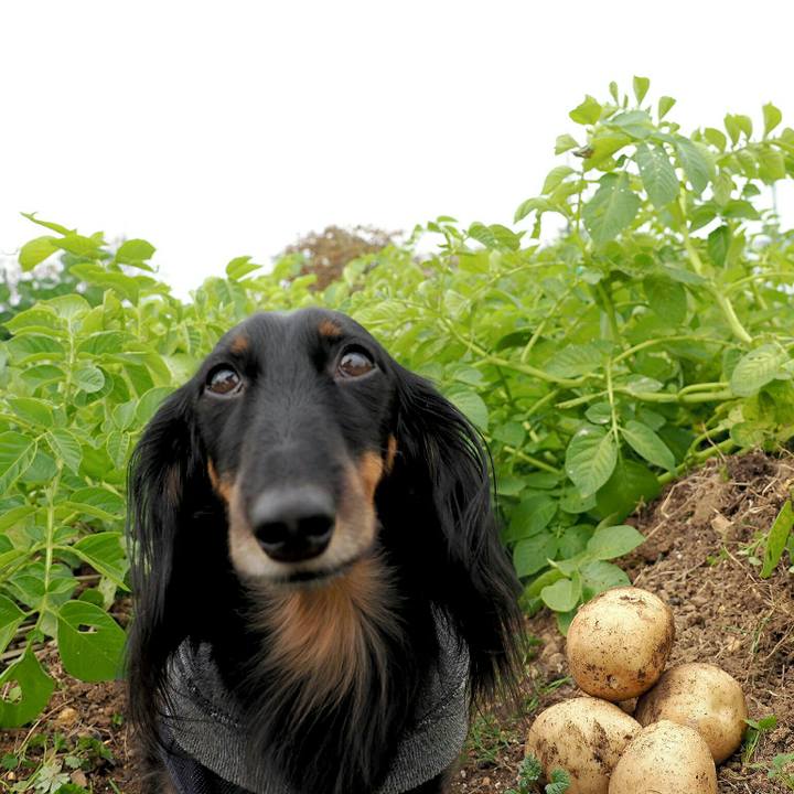 6a98c11f 5876 445e 971e 28b476fcec02 1574732874456