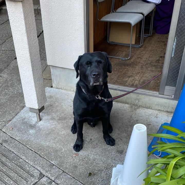 6a98c948 57fc 4c67 a740 ffc29b52d377 1767485212582