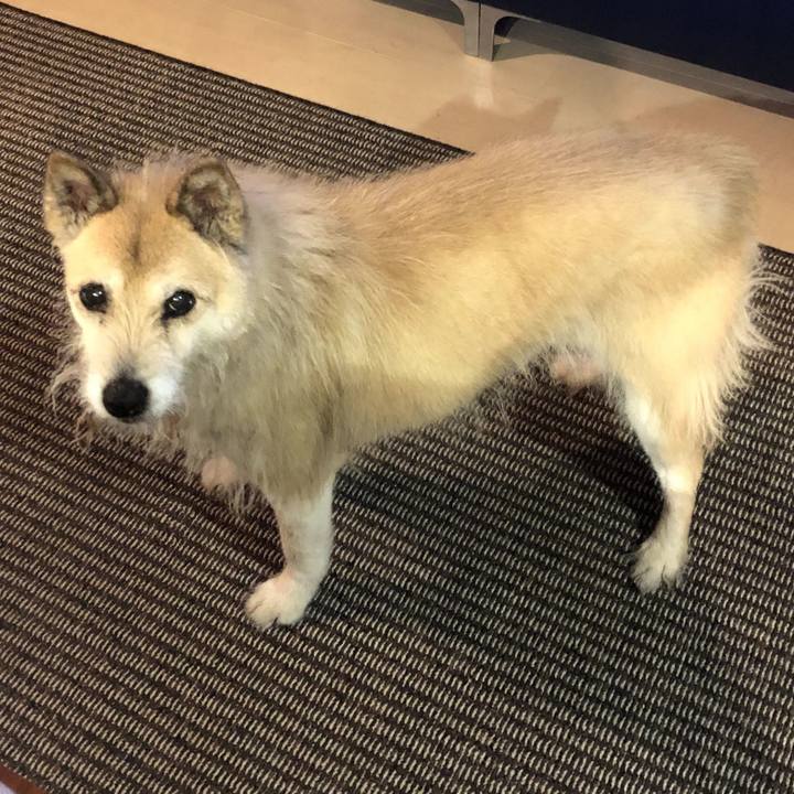 6a9909d8 43f8 4f12 acde 6380058fa2e0 1587991012371