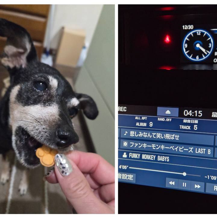 6a992c10 bb2d 4103 9963 93819ca77ade 1767040114943