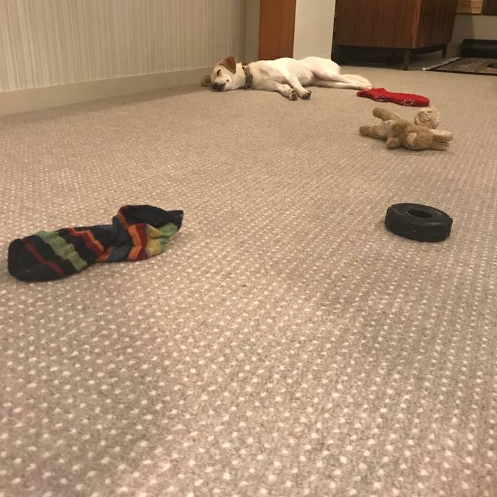 6a994c37 dd90 4ecd 8ca5 d2bf722da252 1532005912881