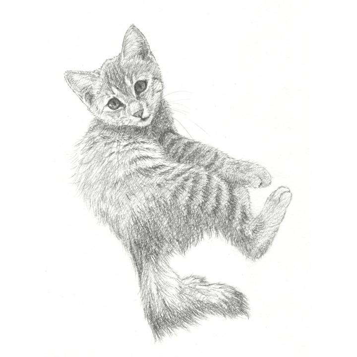 6a99881d b45f 442d 9a68 c587e962d4fe 1550410495960