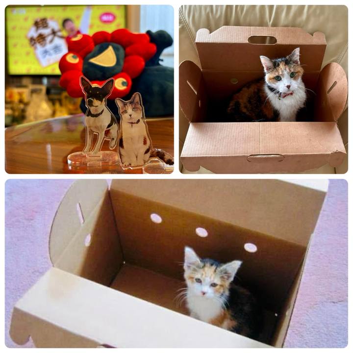 6a999bea 0e62 4dda b67f 9eccfbe84159 1759101174366