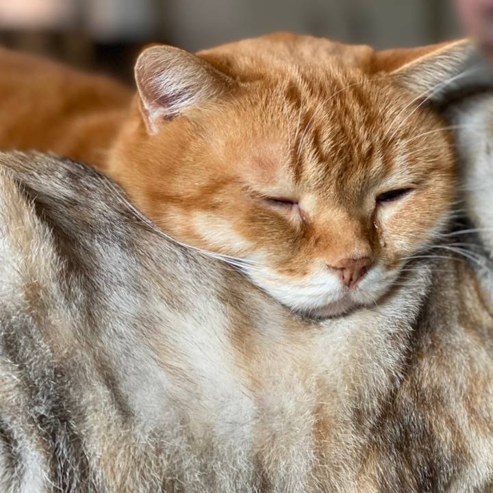 6a99d0ab cabc 411f 8620 61bcfc325b59 1609510899641