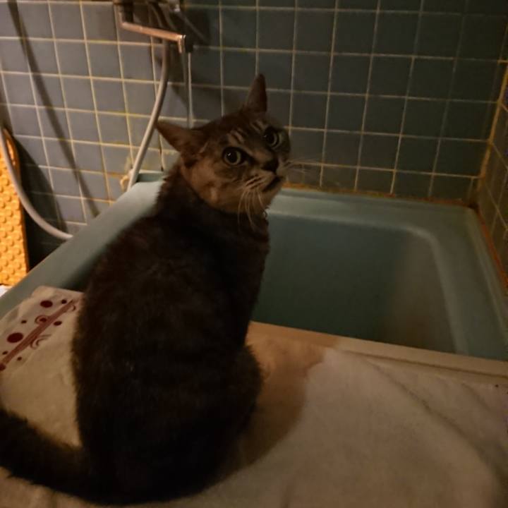 6a99f047 13e3 4720 b7f2 feb64340aa44 1569664724164