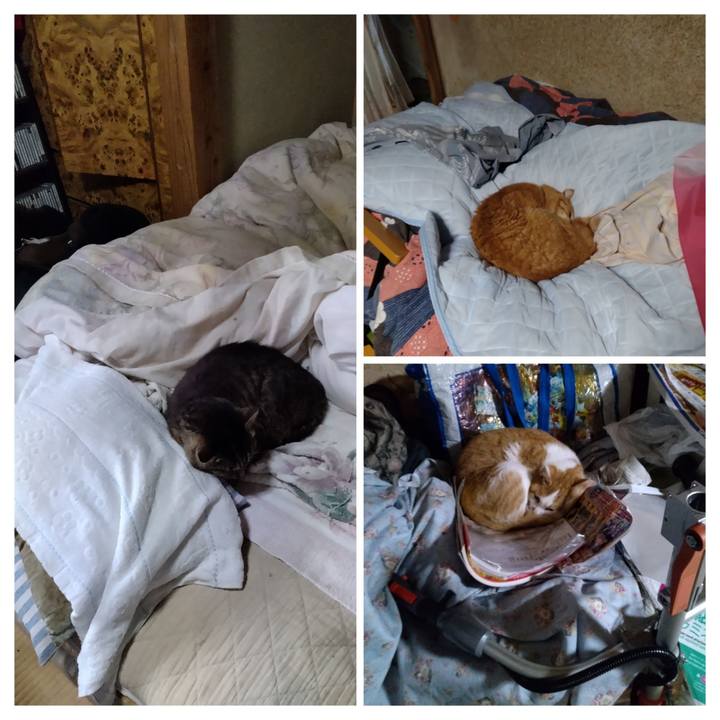 6a9a2a21 4532 4e54 a8ee 3d0a6ad62112 1748168075902