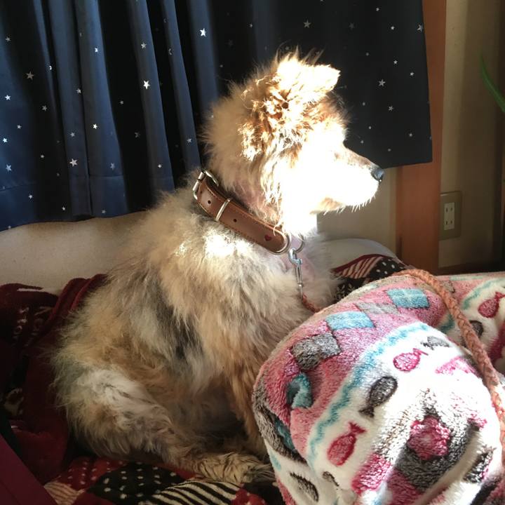 6a9a3044 3f52 4874 8c1e 3a9ba8ca88aa 1567618839177