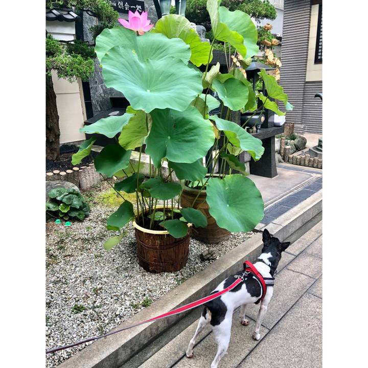 6a9a443e 746b 4a5c 9857 5c51a21cf8ed 1564285386211