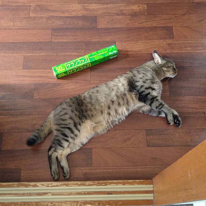 6a9a6677 93eb 483b b3af b7b2d2047924 1687146390387