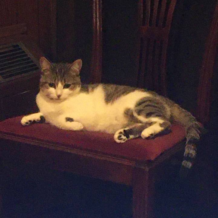 6a9a733d 1be7 4393 a907 3b82e3087d9f 1633650960651