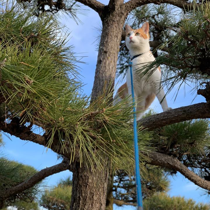 6a9abfa4 f765 469c 86a7 3a454621788d 1581487798380