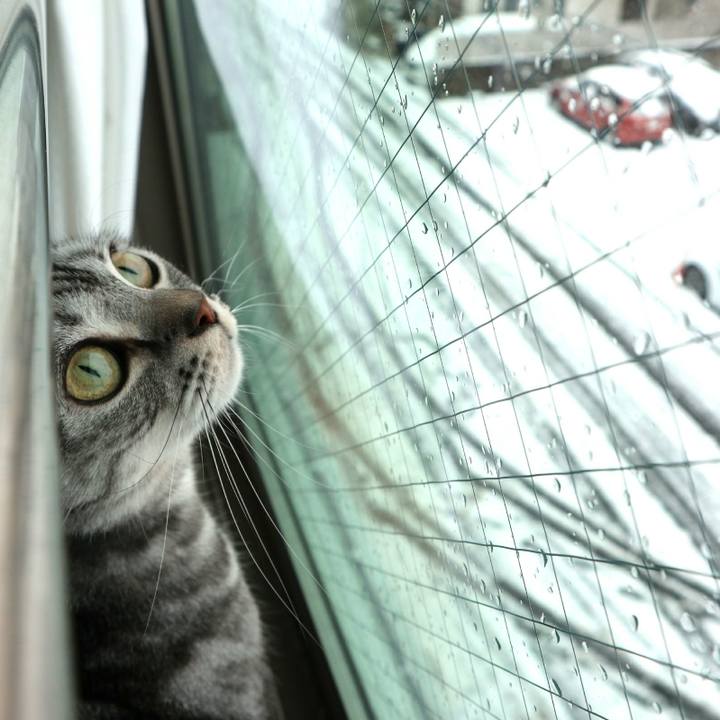 6a9af22a 6336 4d76 a480 6a085a833eb8 1585454354958